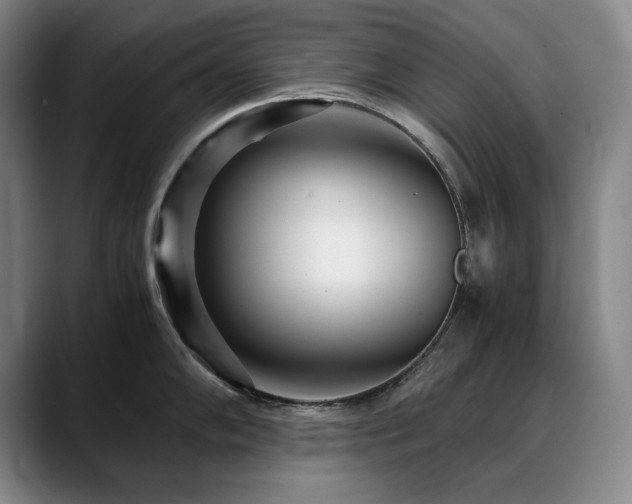 X0000090601102200707171328