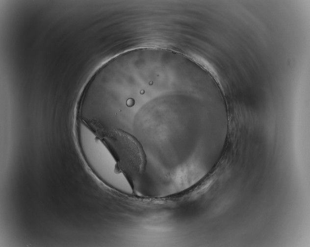 X0000090601103200707171328