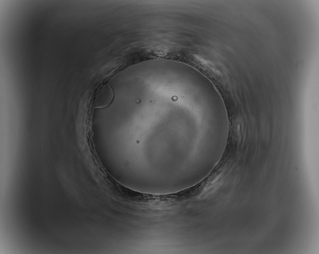 X0000090601105200707171327