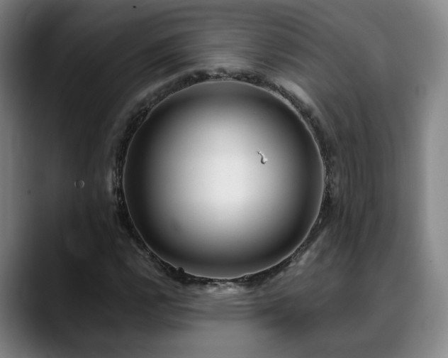 X0000090601112200707171327