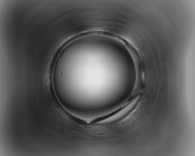 X0000090601119200707171327