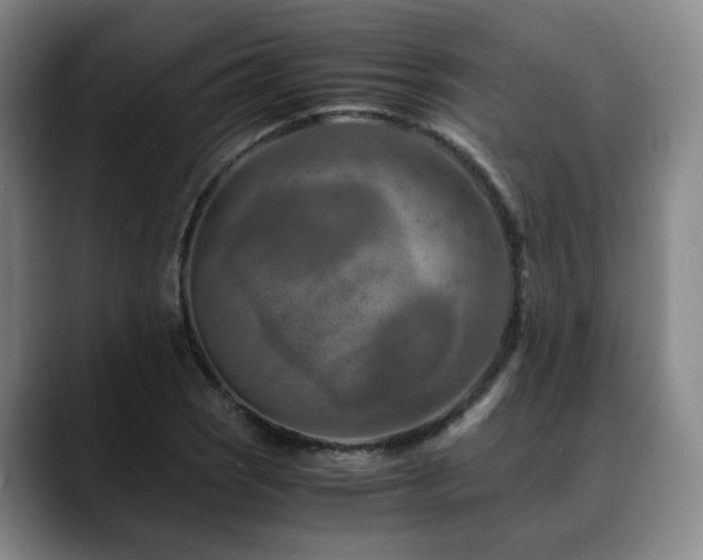 X0000090601121200707171327