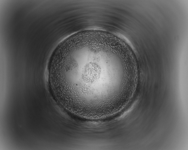 X0000090601125200707171328