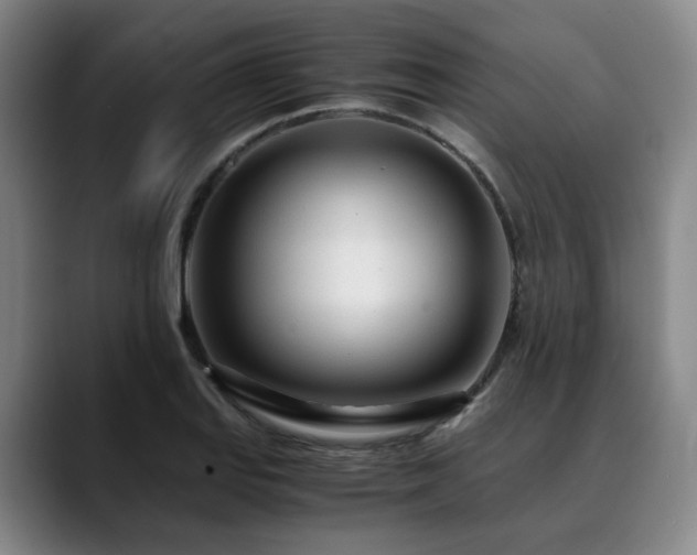 X0000090601127200707171328