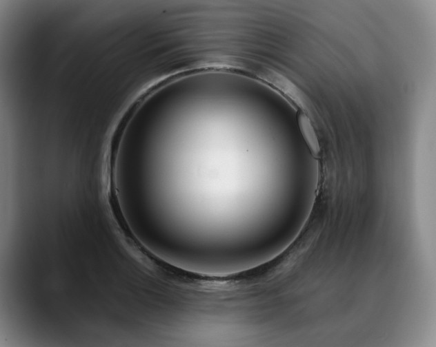 X0000090601132200707171328