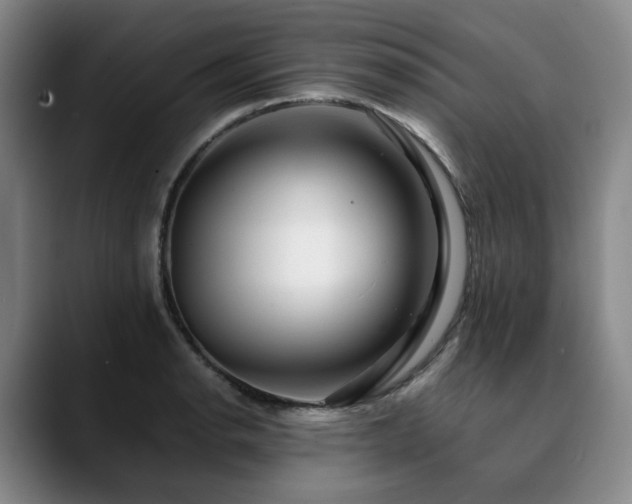 X0000090601134200707171328