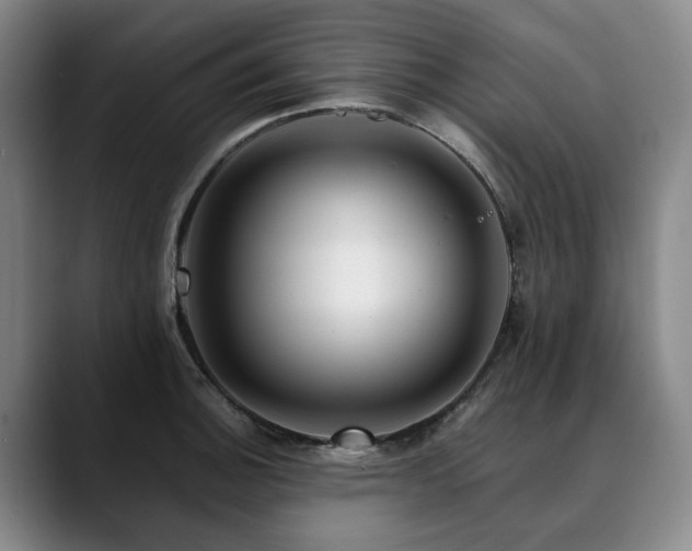 X0000090601140200707171328