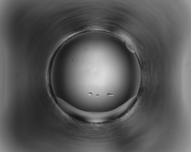 X0000090601141200707171328