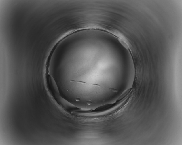 X0000090601142200707171328