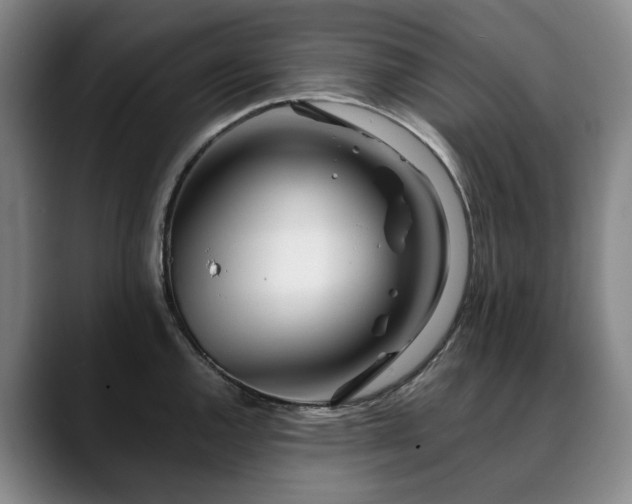 X0000090601144200707171328