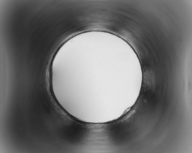 X0000090601150200707171328