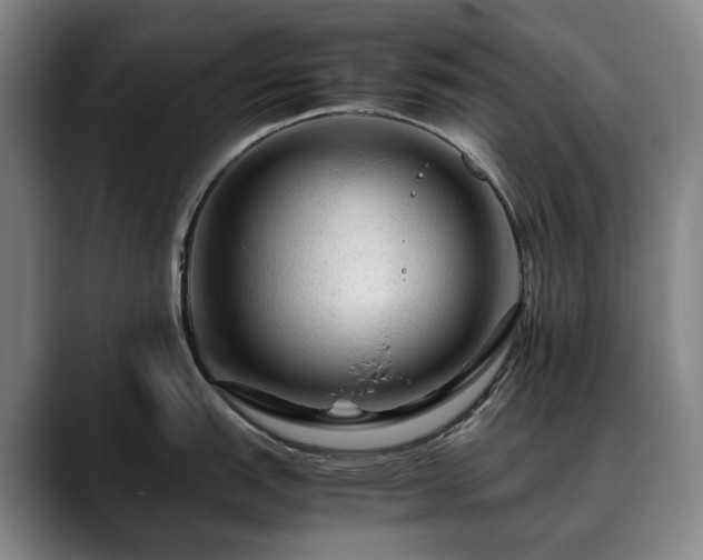 X0000090601151200707171328