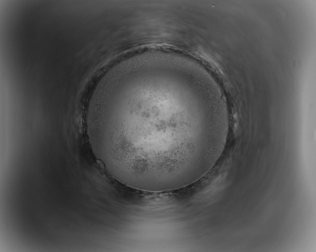 X0000090601159200707171327