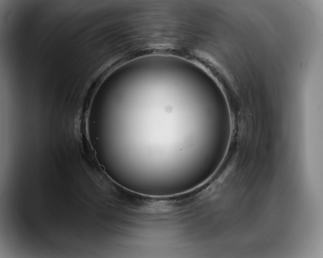 X0000090601162200707171327