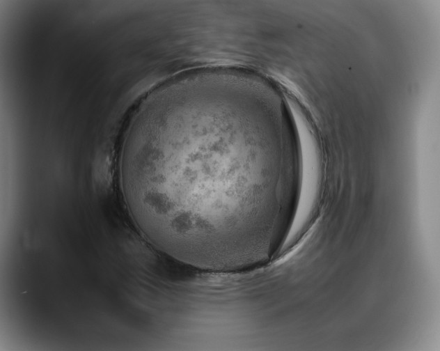 X0000090601163200707171327