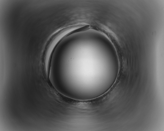 X0000090601166200707171327