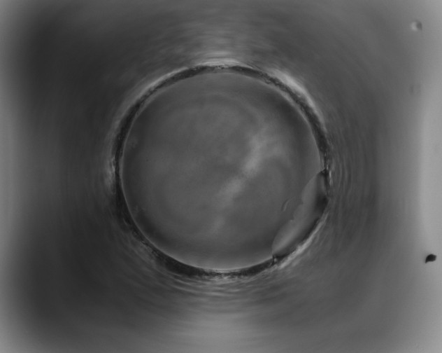 X0000090601167200707171327
