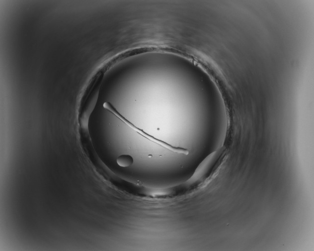 X0000090601168200707171327