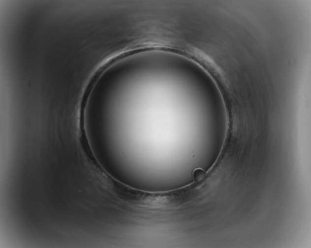 X0000090601174200707171327