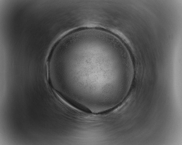 X0000090601175200707171327