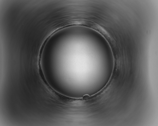X0000090601178200707171327