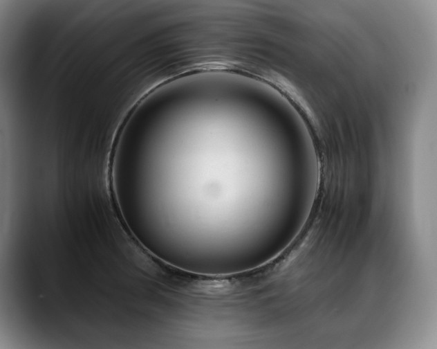 X0000090601186200707171327