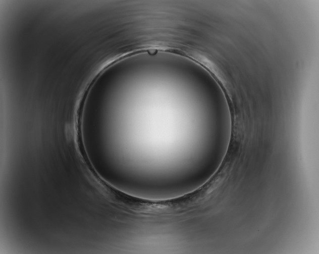 X0000090601187200707171327