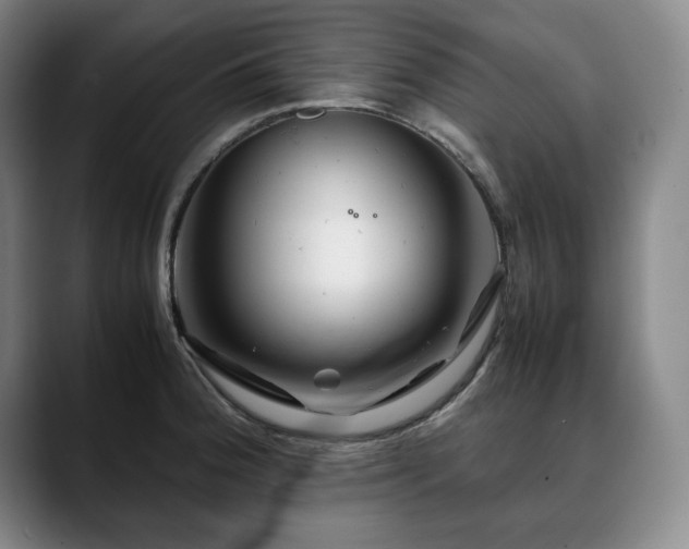 X0000090601188200707171327