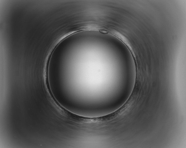 X0000090601195200707171327