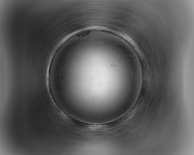 X0000090601199200707171327