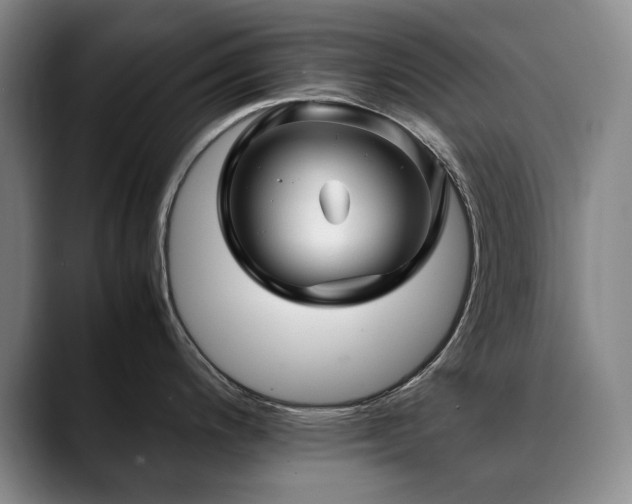 X0000090601200200707171327