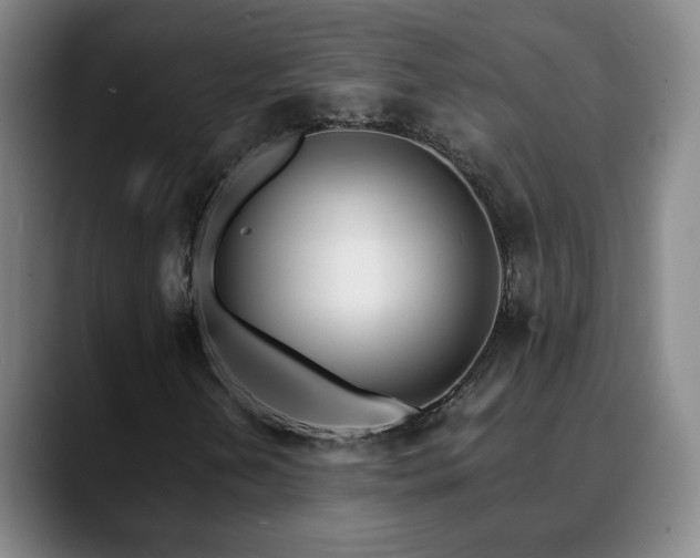X0000090601202200707171326