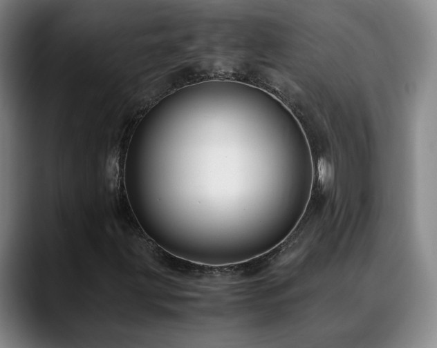 X0000090601203200707171326