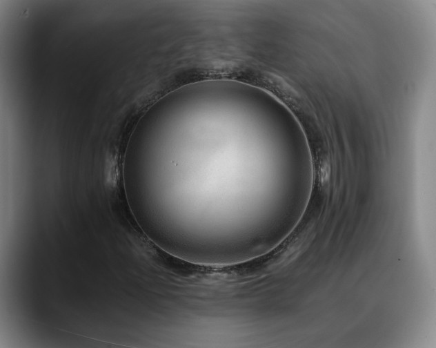 X0000090601204200707171326