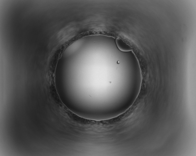 X0000090601207200707171326