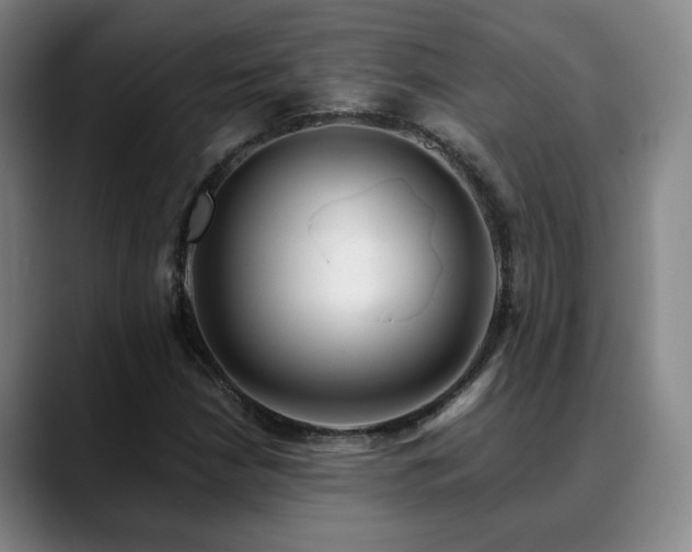 X0000090601210200707171326