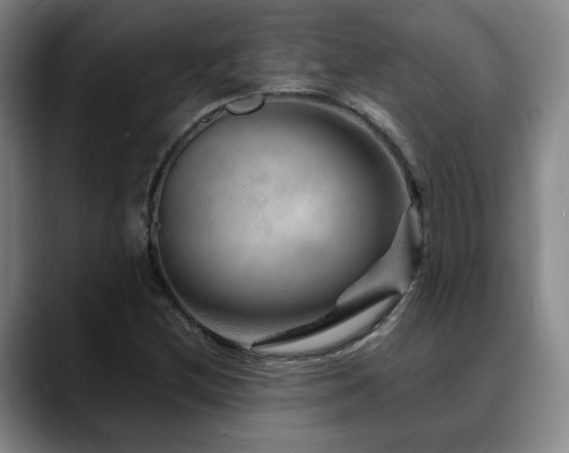 X0000090601212200707171326