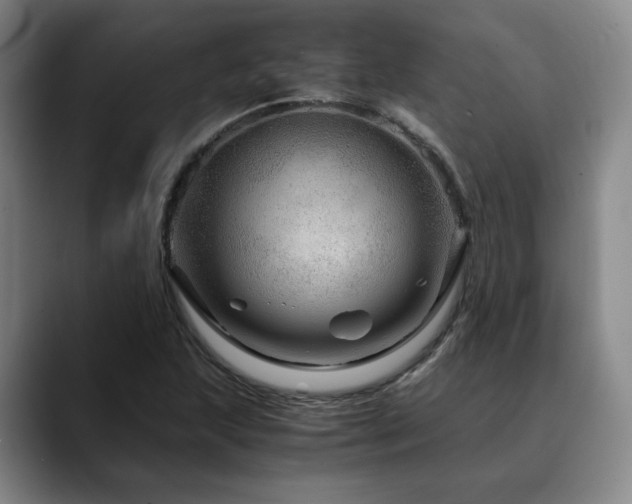 X0000090601215200707171326