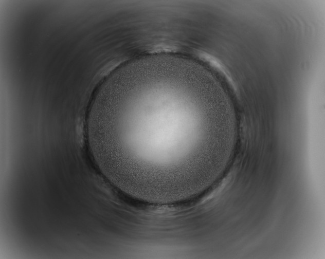 X0000090601217200707171326