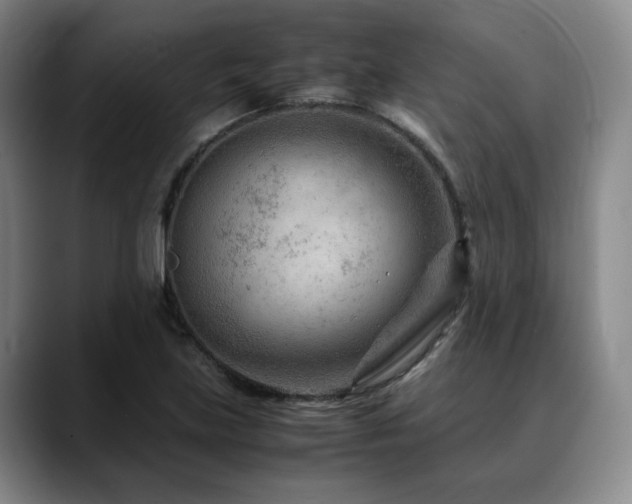 X0000090601219200707171326