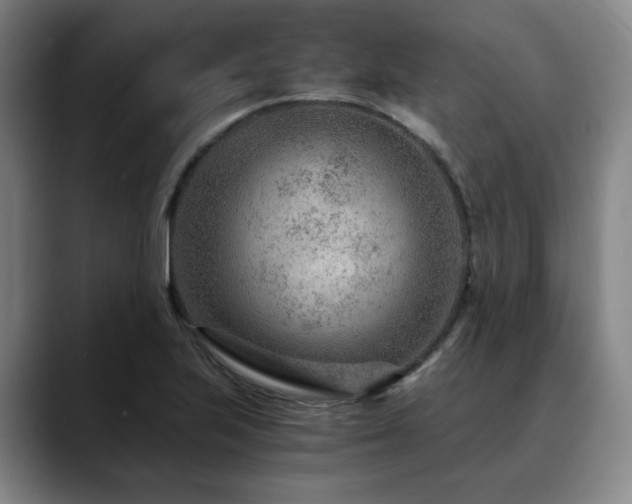 X0000090601223200707171326