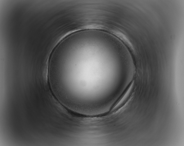 X0000090601228200707171326