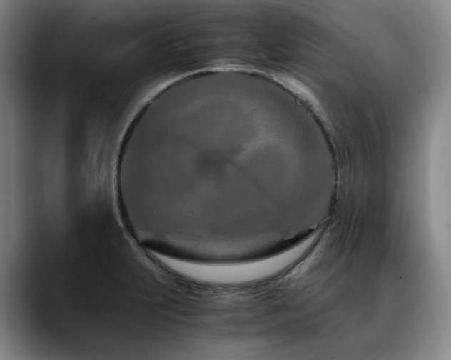 X0000090601231200707171327