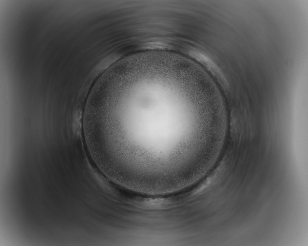 X0000090601233200707171327