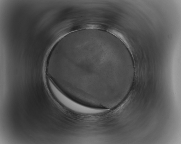 X0000090601235200707171327