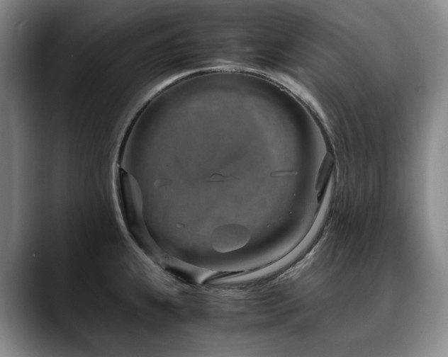 X0000090601239200707171327