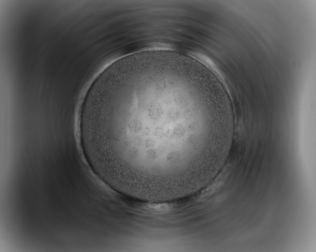 X0000090601243200707171327