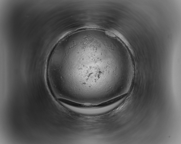 X0000090601245200707171327