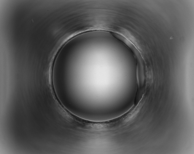 X0000090601246200707171327