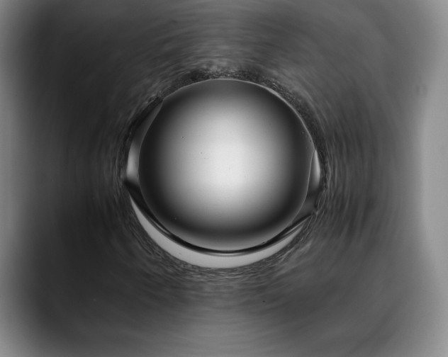 X0000090601250200707171326